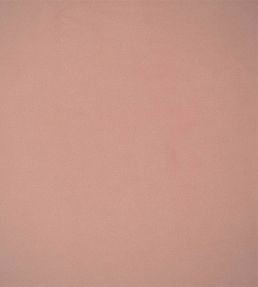 Velluto Stretto Fabric by Designers Guild Pale Rose