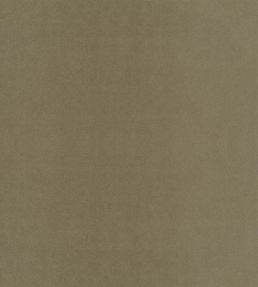 Velluto Stretto Fabric by Designers Guild Roebuck