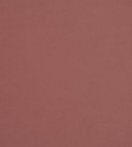 Velluto Stretto Fabric by Designers Guild Rose