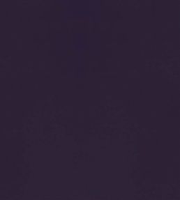 Velluto Fabric by Designers Guild Violet