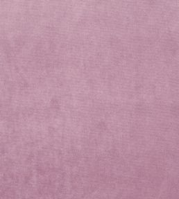 Velour Fabric by Prestigious Textiles Orchid