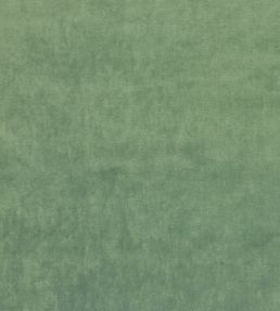 Velour Fabric by Prestigious Textiles Seafoam