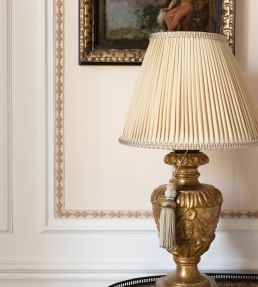 Bagatelle Velvet Border Trimming by Samuel & Sons Jonquil