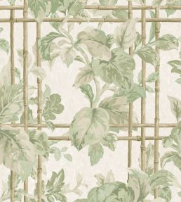 Verdant Trellis Wallpaper by Woodchip & Magnolia Laurel