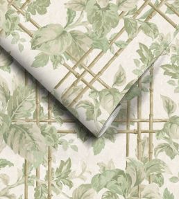 Verdant Trellis Wallpaper by Woodchip & Magnolia Laurel