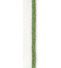 Vertelli Piping Performance Trim by Christopher Farr Cloth Kiwi