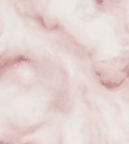 Viento Mural by Clarke & Clarke Blush