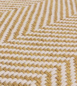 Asiatic Vigo rug Ochre VIGO200290OCHR Ochre