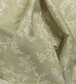 Vine Fabric by Andrew Martin Fennel