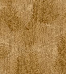Volute Wallpaper by Elitis Y Faire Son Miel