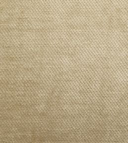 Dolce Fabric by Warwick Champagne