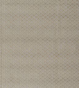 Paley Fabric by Warwick Lichen