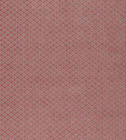 Paley Fabric by Warwick Rose