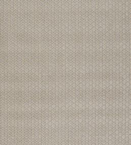 Paley Fabric by Warwick Smoke
