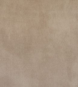 Lovely FR Fabric by Warwick Champagne
