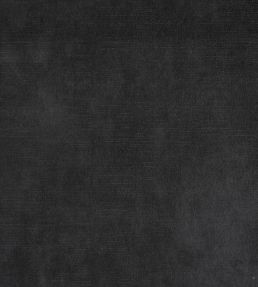 Lovely FR Fabric by Warwick Coal