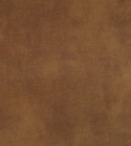 Lovely Fabric by Warwick Ochre