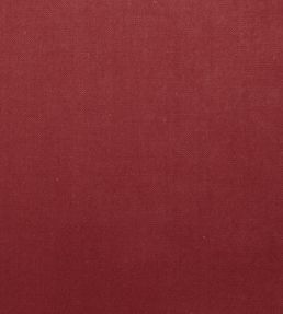 Mystere Fabric by Warwick BLUSH
