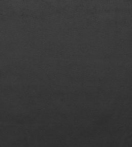 Mystere Fabric by Warwick COAL