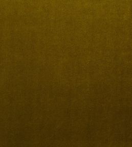 Mystere Fabric by Warwick GRASS
