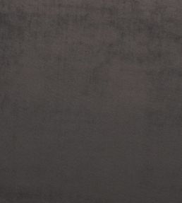Mystere Fabric by Warwick MOLE