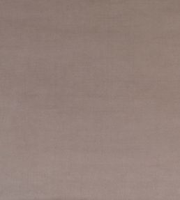 Mystere Fabric by Warwick PUMICE