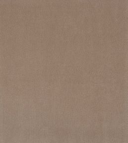 Plush Velvet Fabric by Warwick Bark
