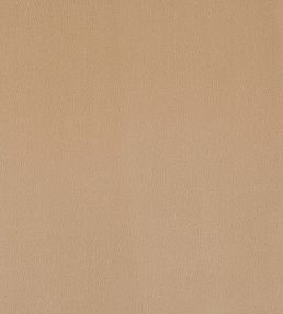 Plush Velvet FR Fabric by Warwick Cafe
