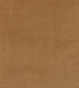 Plush Velvet Fabric by Warwick Caramel