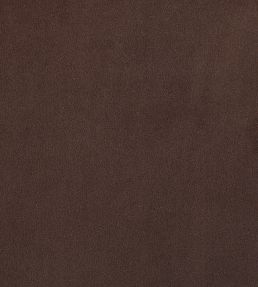 Plush Velvet Fabric by Warwick Chocolate