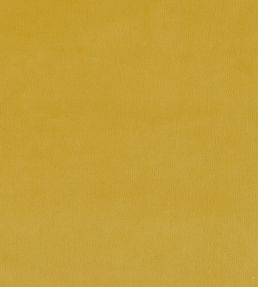 Plush Velvet Fabric by Warwick Daffodil