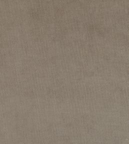 Plush Velvet FR Fabric by Warwick Elephant