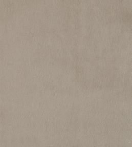 Plush Velvet Fabric by Warwick Fog