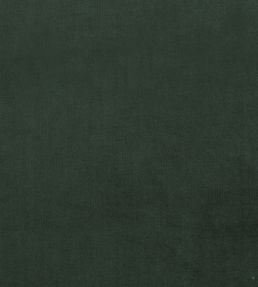 Plush Velvet FR Fabric by Warwick Hunter