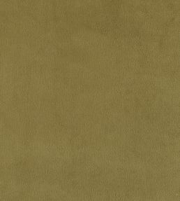 Plush Velvet Fabric by Warwick Moss