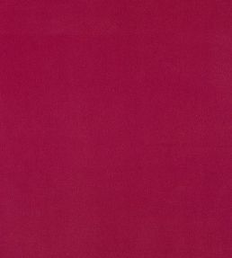 Plush Velvet Fabric by Warwick Peony