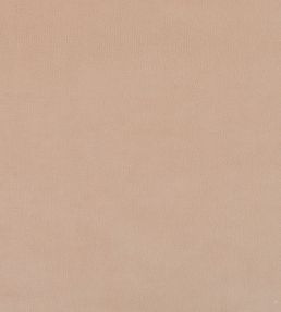 Plush Velvet FR Fabric by Warwick Petal