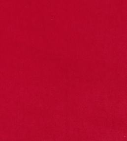 Plush Velvet FR Fabric by Warwick Pillarbox