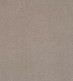 Plush Velvet FR Fabric by Warwick Platinum