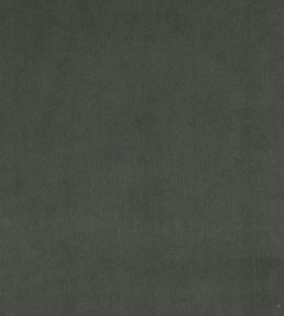 Plush Velvet FR Fabric by Warwick Shadow