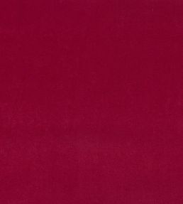 Plush Velvet Fabric by Warwick Shiraz
