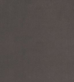 Plush Velvet Fabric by Warwick Slate