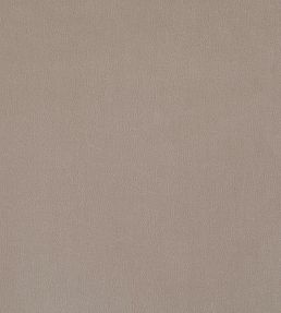Plush Velvet Fabric by Warwick Taupe