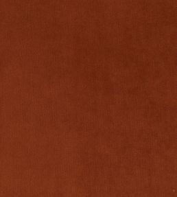 Plush Velvet Fabric by Warwick Umber