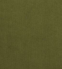 Plush Velvet FR Fabric by Warwick Vine