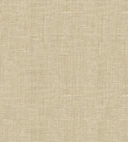 Weathered Linen Fabric by GP & J Baker Clam