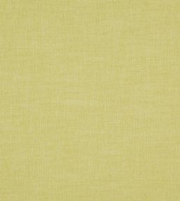 Braemar Fabric by Wemyss Pistachio