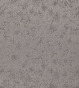 Stelvio Fabric by Wemyss Sterling