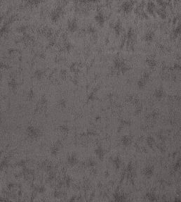 Stelvio Fabric by Wemyss Graphite