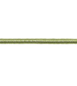 Westport Gimp Trimming by Samuel & Sons Spring Green